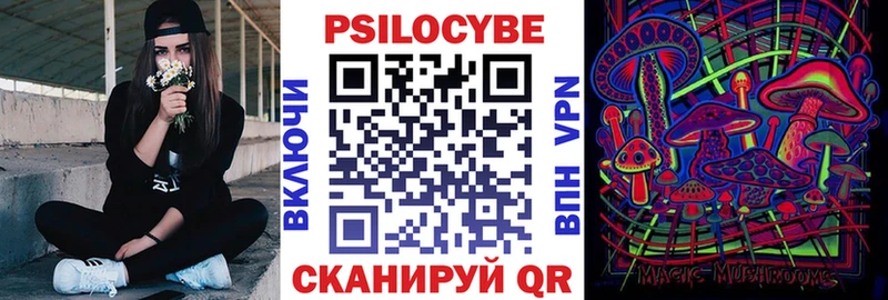 наркотики Бежецк Псилоцибиновые грибы Psilocybe